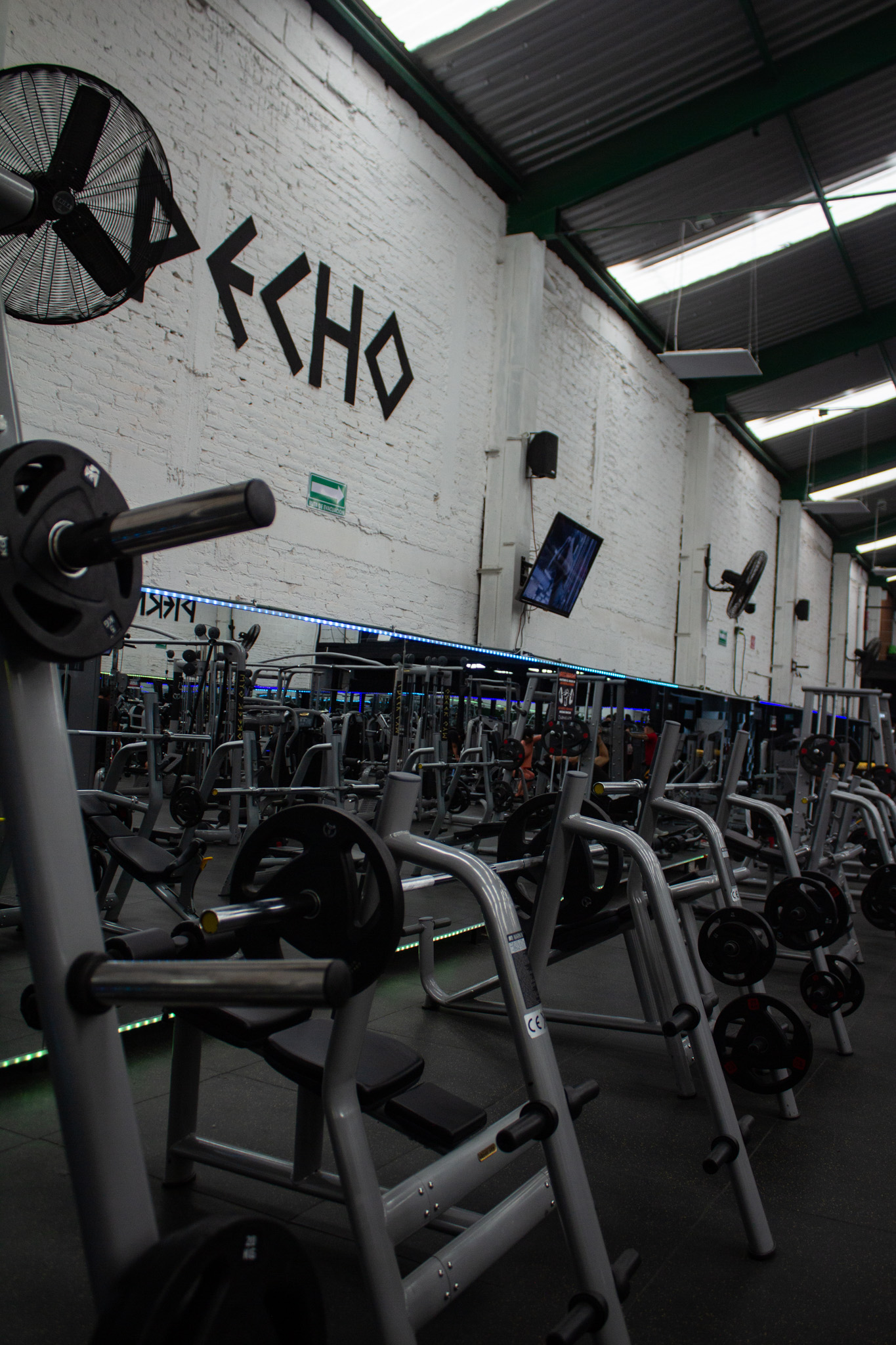 Instalaciones Greek Gym Zeus